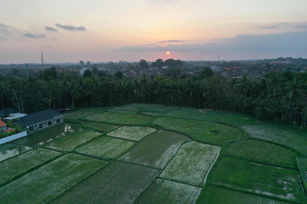 Sila Urip Guest House Ubud Dış mekan fotoğraf