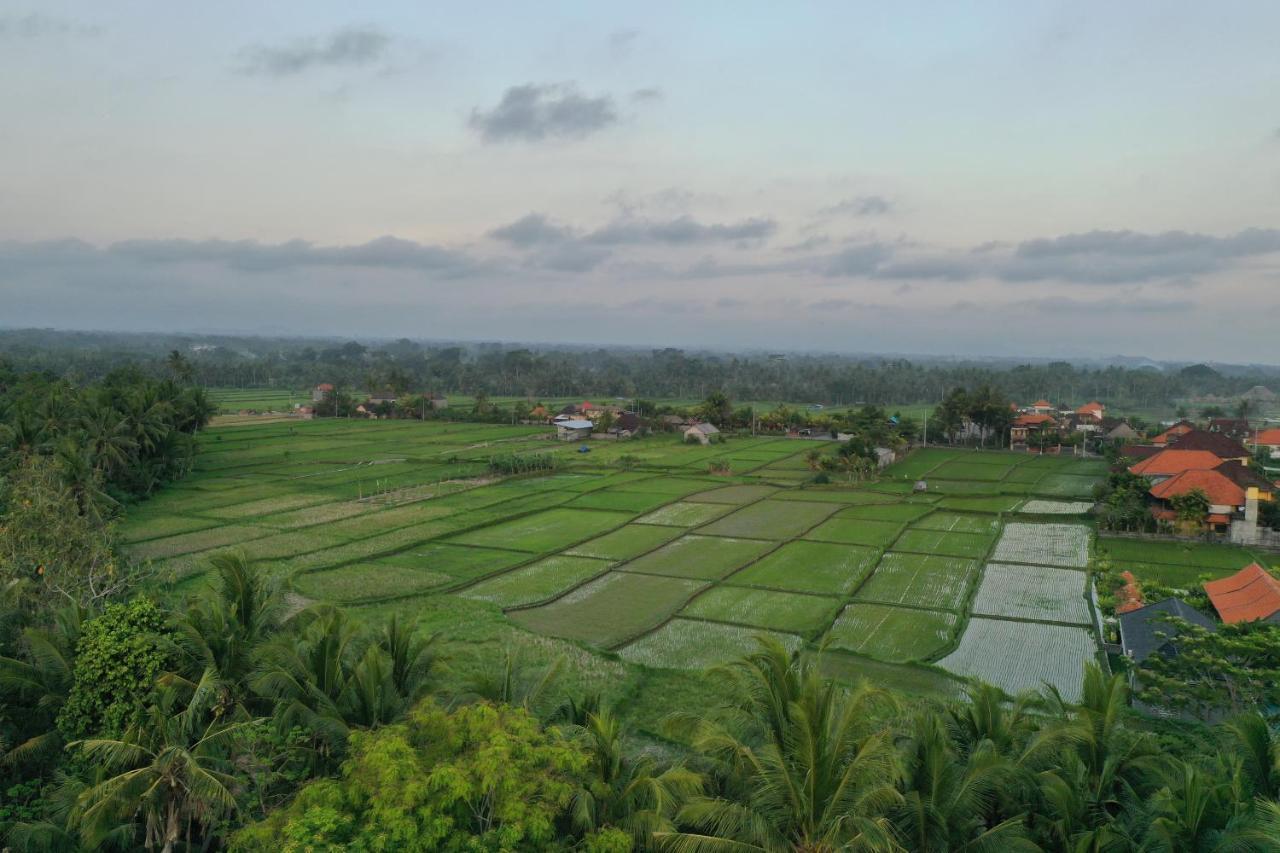 Sila Urip Guest House Ubud Dış mekan fotoğraf